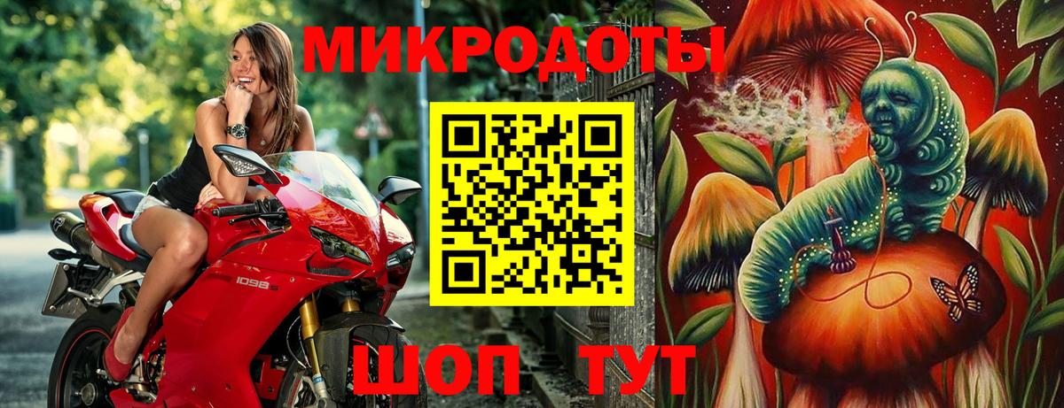 Галлюциногенные грибы Psilocybine cubensis Елец