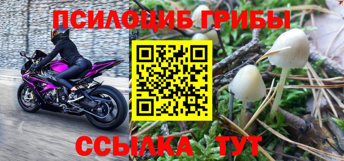 Елец  Псилоцибиновые грибы Magic Shrooms  Вход с VPN 